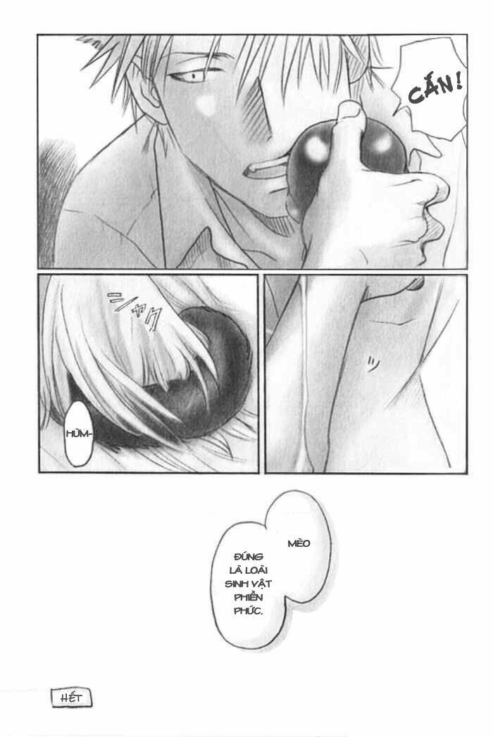 Maiden Rose-Special Chapter 7 - Trang 2