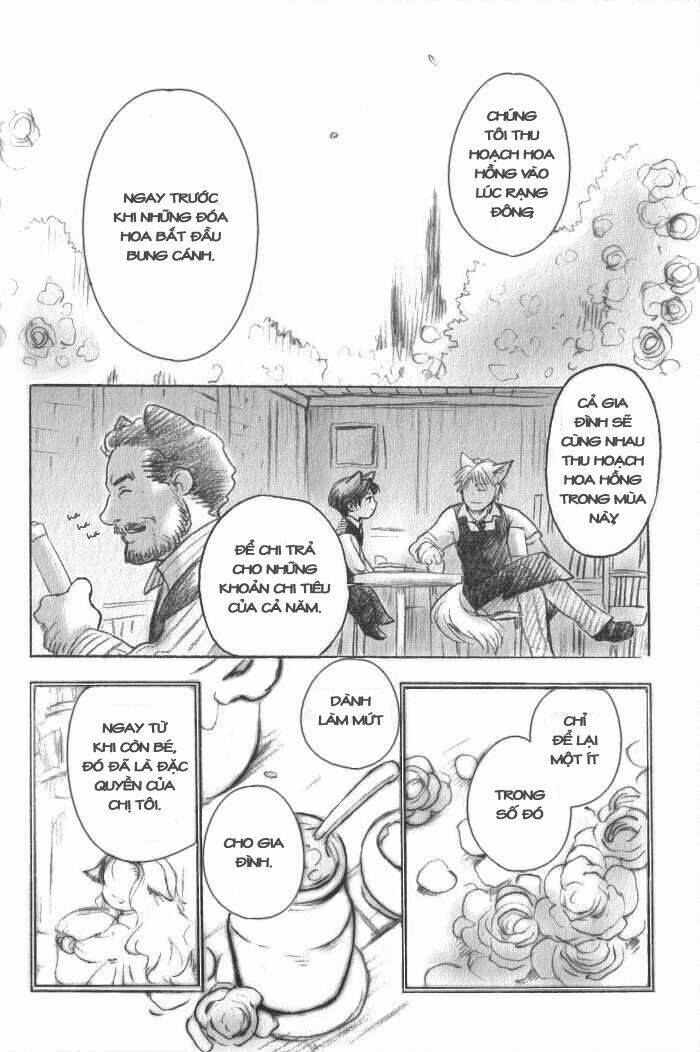 Maiden Rose-Special Chapter 8 - Trang 2