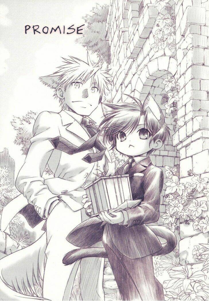 Maiden Rose-Special Chapter 10 - Trang 2