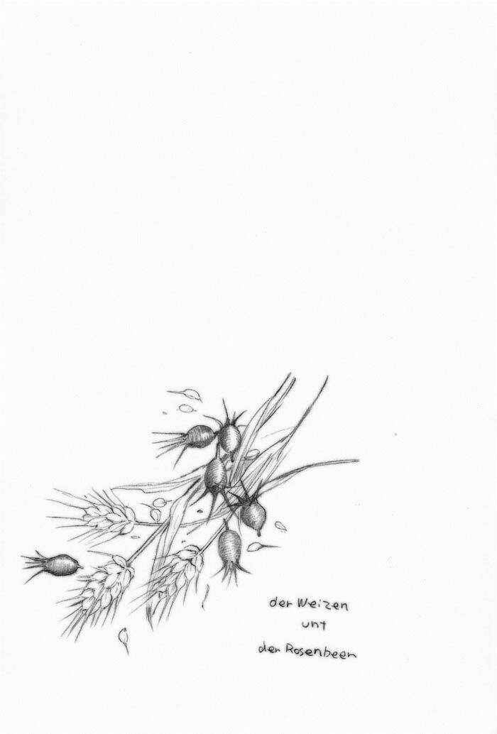 Maiden Rose-Special Chapter 10 - Trang 2