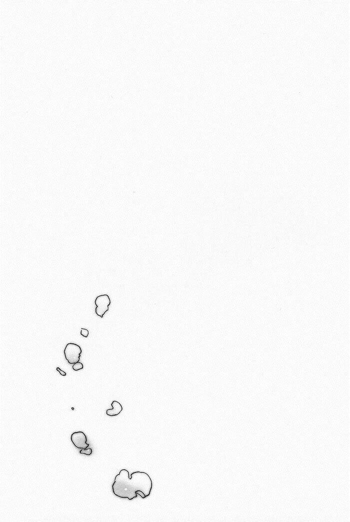 Maiden Rose-Special Chapter 11.2 - Trang 2