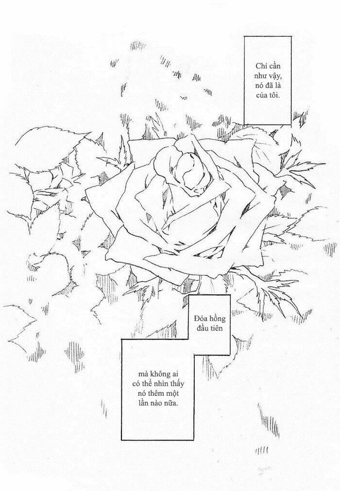 Maiden Rose-Special Chapter 11.2 - Trang 2