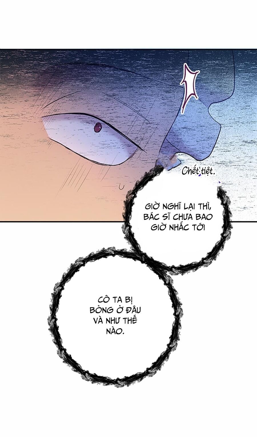 Cuộc Sống Xa Hoa Của Cô Nhân Tình Giả Chapter 11 - Trang 2