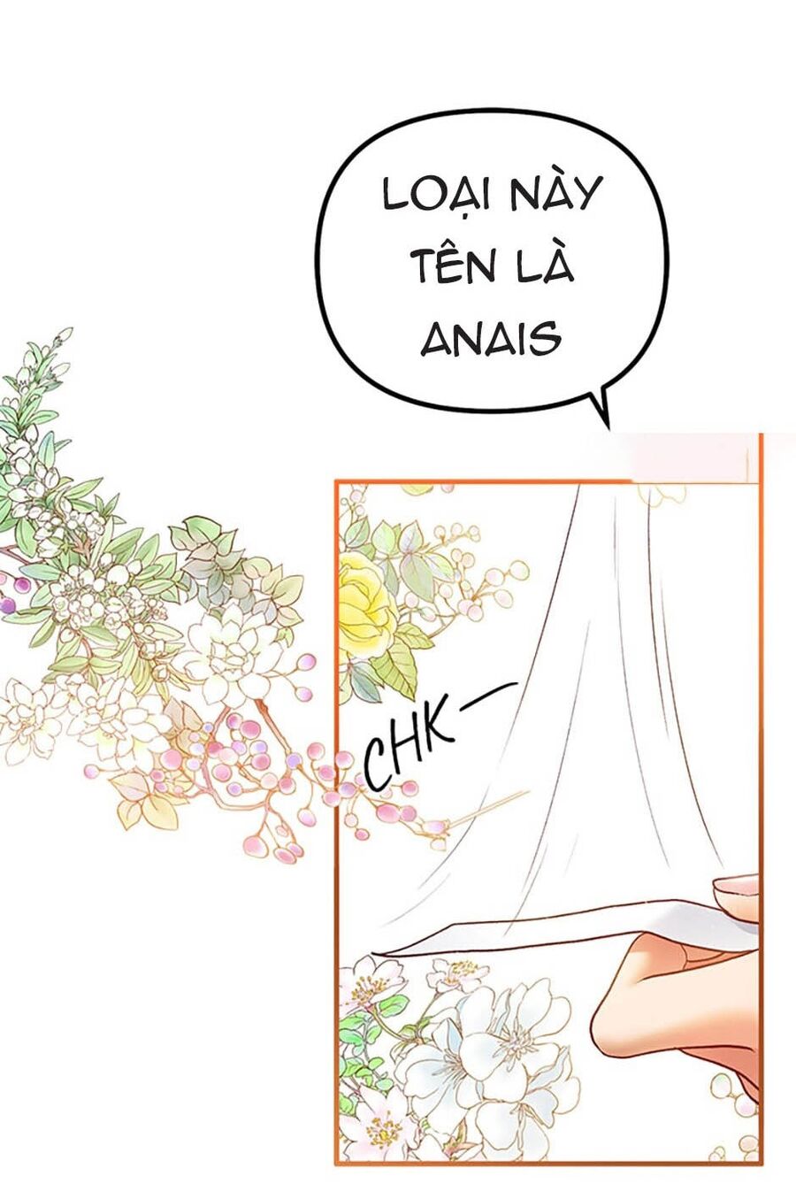 Cuộc Sống Xa Hoa Của Cô Nhân Tình Giả Chapter 46 - Trang 2