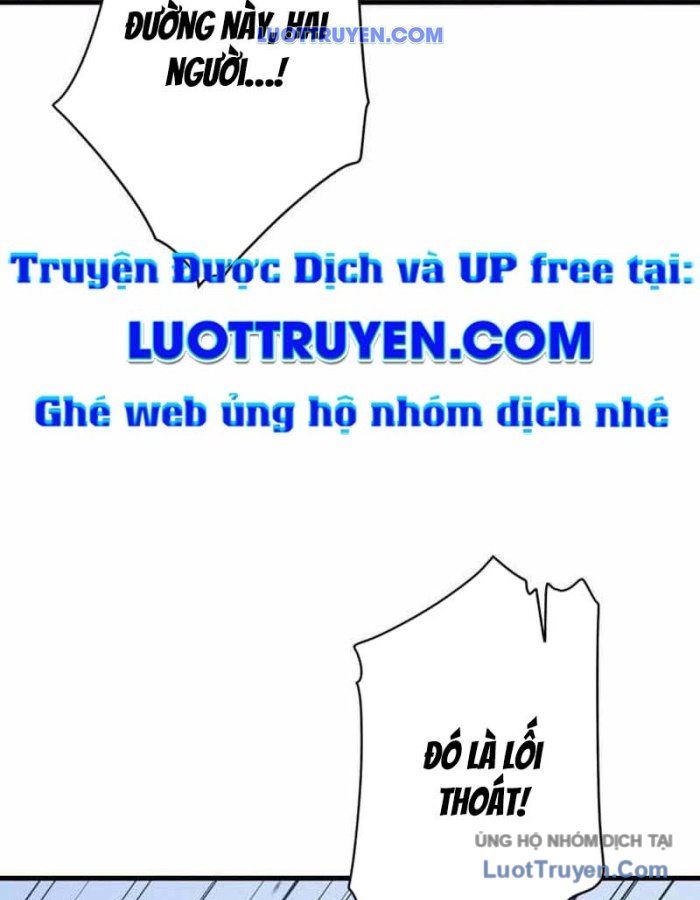 Phản Anh Hùng:  Kẻ Dưới Đáy Hệ Thống Chức Nghiệp Chapter 5 - Trang 2