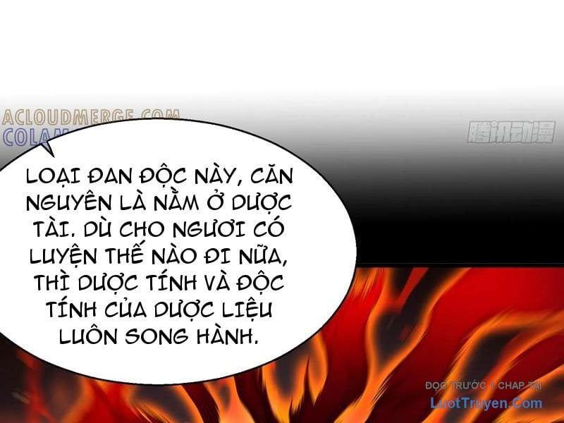 Thực Sự Có Người Cho Rằng Tu Tiên Khó Sao? Chapter 18 - Trang 2