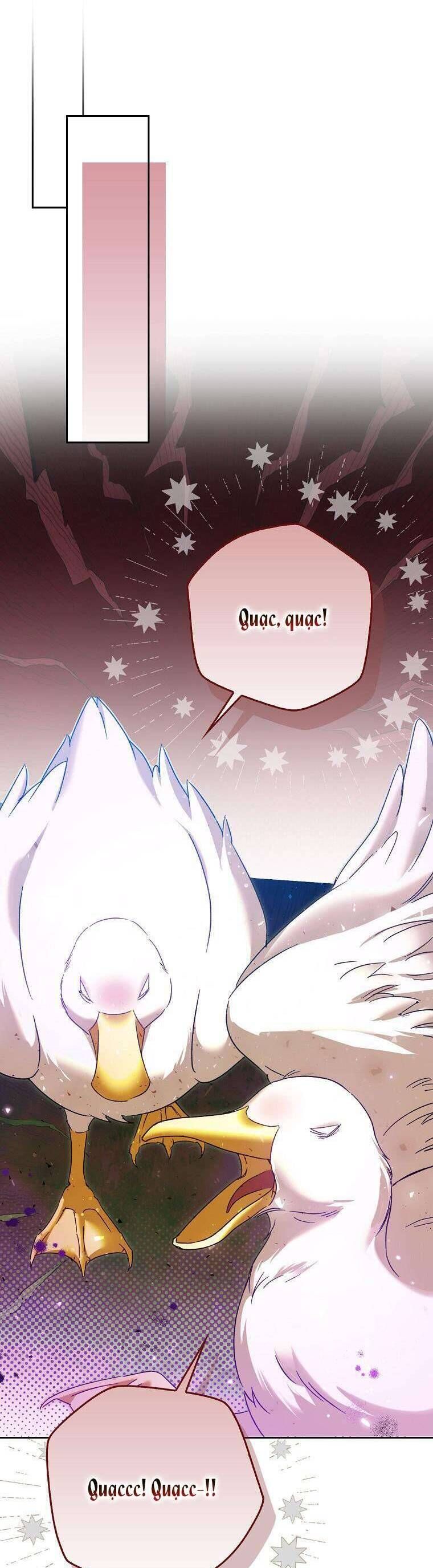 Hầu Tước Marron Chapter 11 - Trang 2