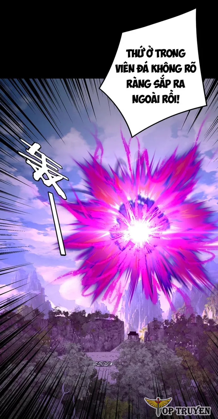 Ta Trời Sinh Đã Là Nhân Vật Phản Diện Chapter 454 - Trang 2