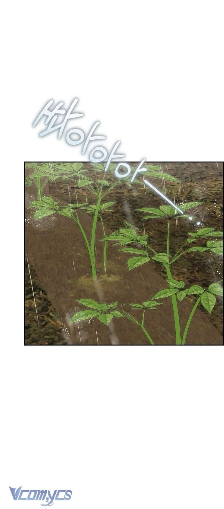 Cứ Cố Gắng Hết Sức Để Hối Hận Chapter 12 - Trang 2