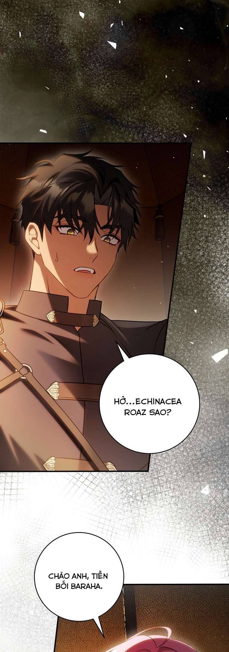 Hoa Giương Kiếm Chapter 23 - Trang 2