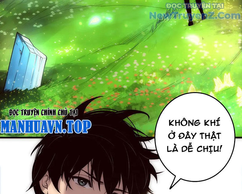 Thảm Họa Tử Linh Sư Chapter 181 - Trang 2