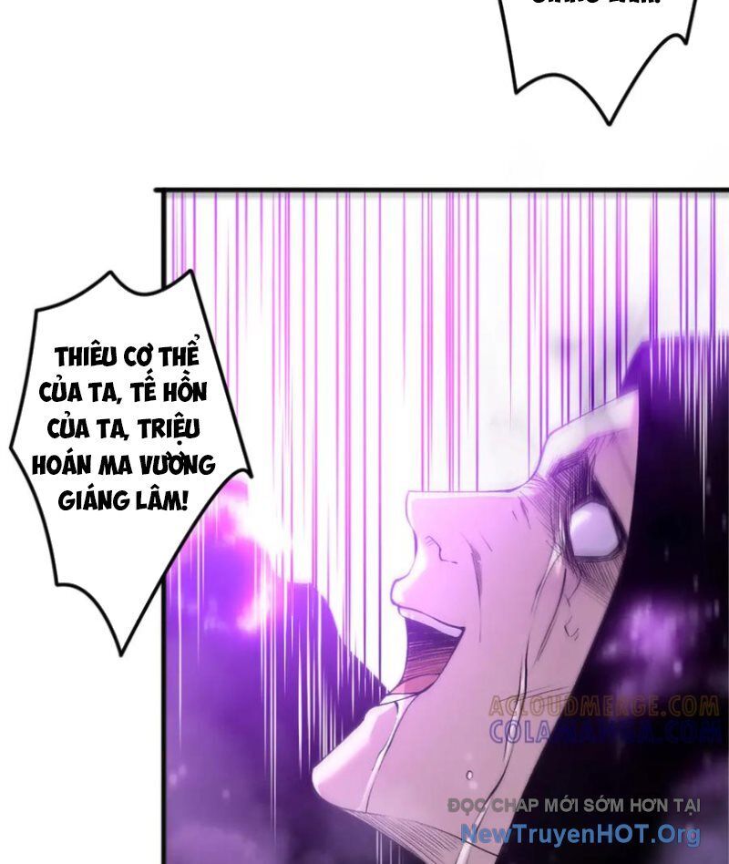 Thảm Họa Tử Linh Sư Chapter 198 - Trang 2