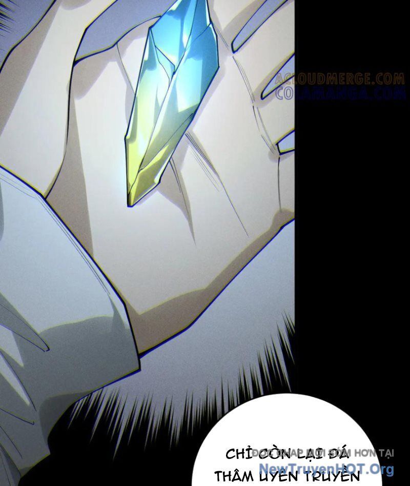 Thảm Họa Tử Linh Sư Chapter 198 - Trang 2