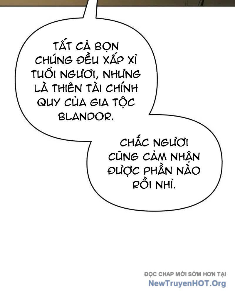 Cuộc Sống Tái Sinh Của Pháp Sư Hẻm Tối Chapter 5 - Trang 2