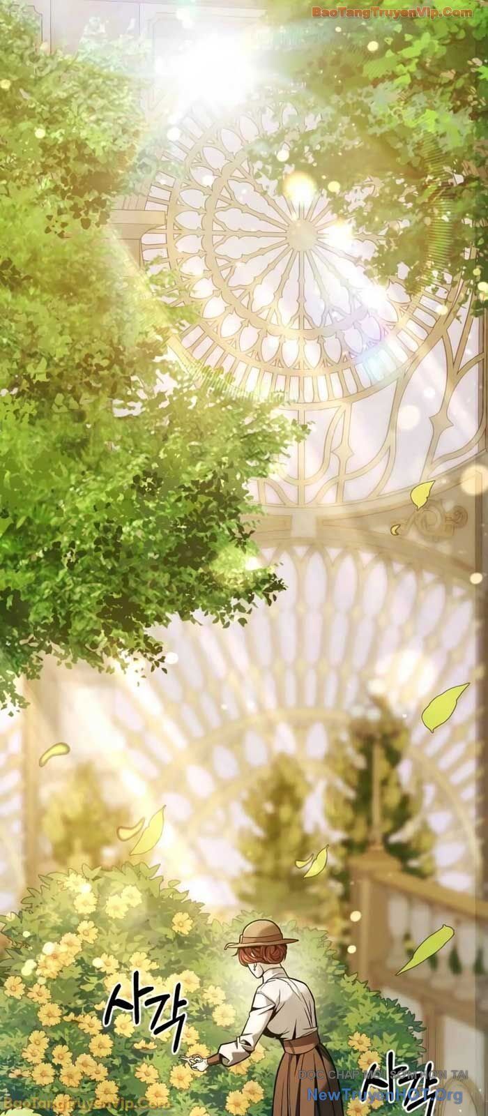 Cuộc Sống Tái Sinh Của Pháp Sư Hẻm Tối Chapter 8 - Trang 2