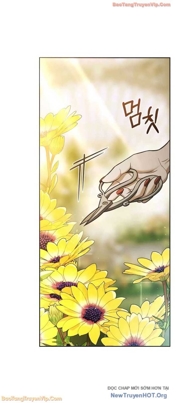 Cuộc Sống Tái Sinh Của Pháp Sư Hẻm Tối Chapter 8 - Trang 2