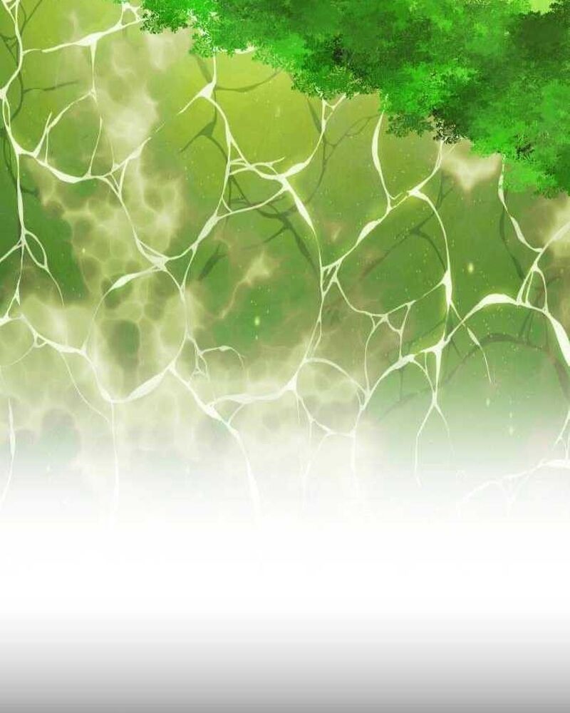 Cuộc Sống Tái Sinh Của Pháp Sư Hẻm Tối Chapter 2 - Trang 2