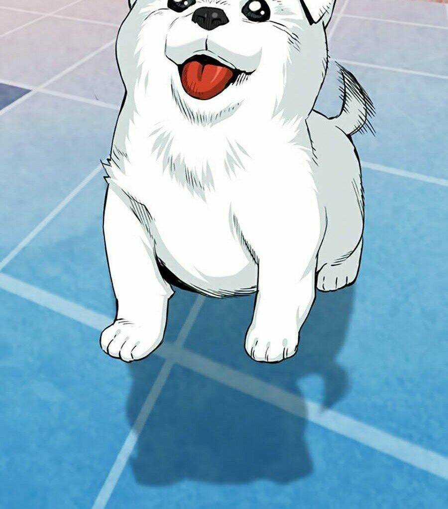 Druid Tại Ga Seoul – Người Hóa Thú Chapter 20 - Trang 2