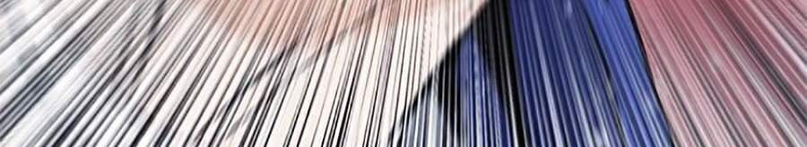 Druid Tại Ga Seoul – Người Hóa Thú Chapter 21 - Trang 2