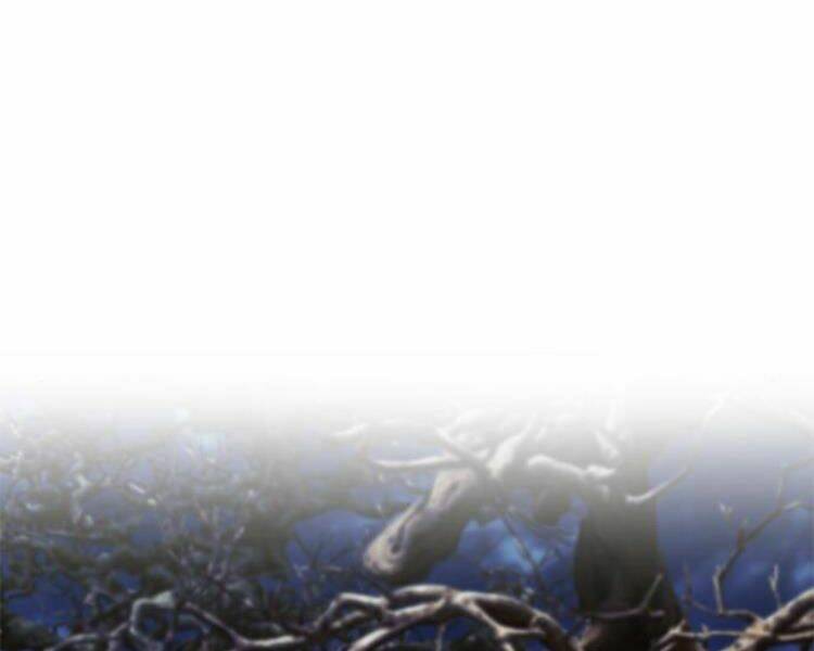 Druid Tại Ga Seoul – Người Hóa Thú Chapter 27 - Trang 2