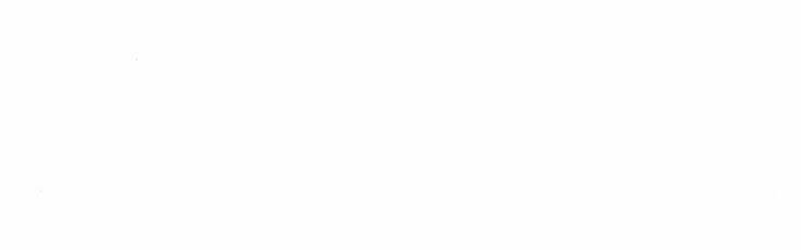 Druid Tại Ga Seoul – Người Hóa Thú Chapter 37 - Trang 2