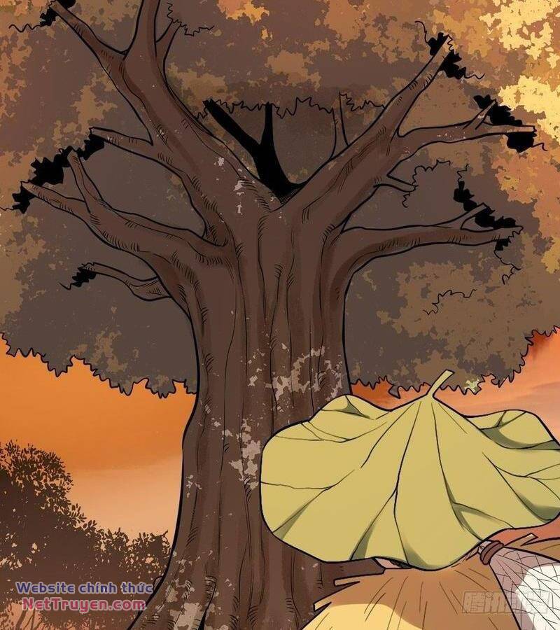 Nguyên Lai Ta Là Tu Tiên Đại Lão Chapter 402 - Trang 2