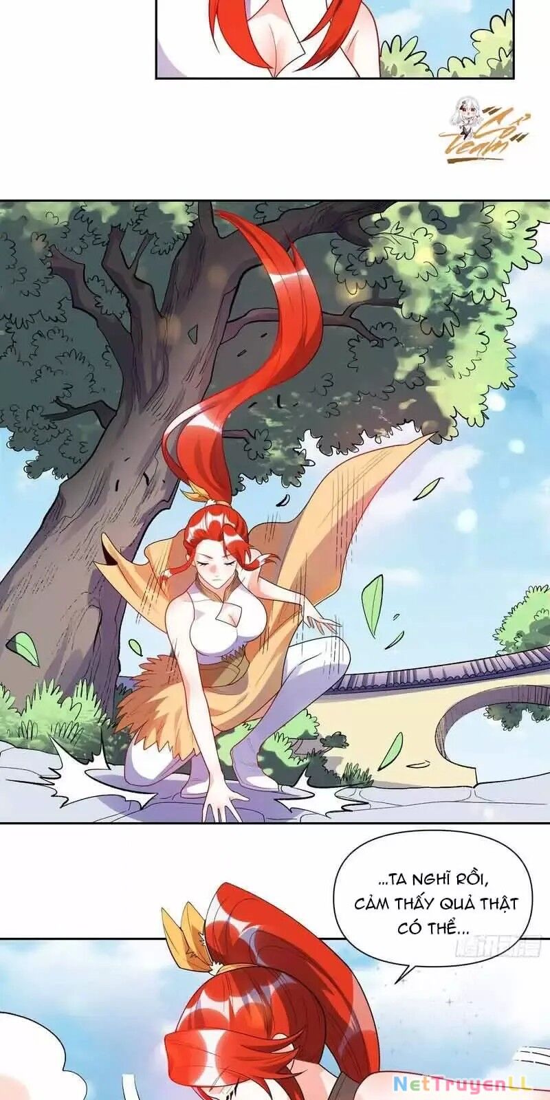 Nguyên Lai Ta Là Tu Tiên Đại Lão Chapter 427 - Trang 2