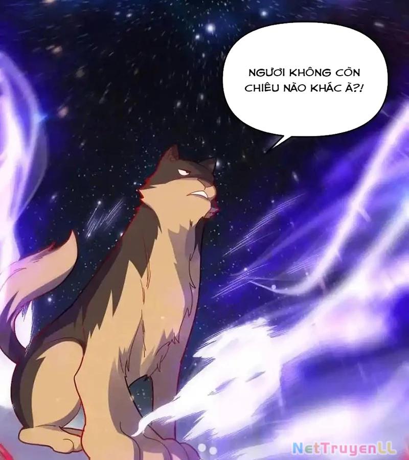 Nguyên Lai Ta Là Tu Tiên Đại Lão Chapter 433 - Trang 2