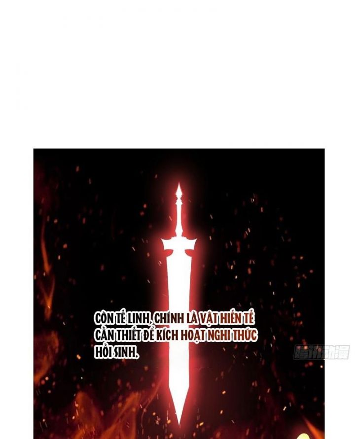 Nguyên Lai Ta Là Tu Tiên Đại Lão Chapter 494 - Trang 2