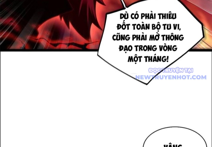 Nguyên Lai Ta Là Tu Tiên Đại Lão Chapter 534 - Trang 2