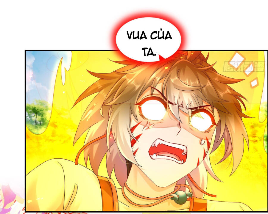 Tuyệt Sắc Đạo Lữ Đều Nói Ngô Hoàng Thể Chất Vô Địch Chapter 7 - Trang 2