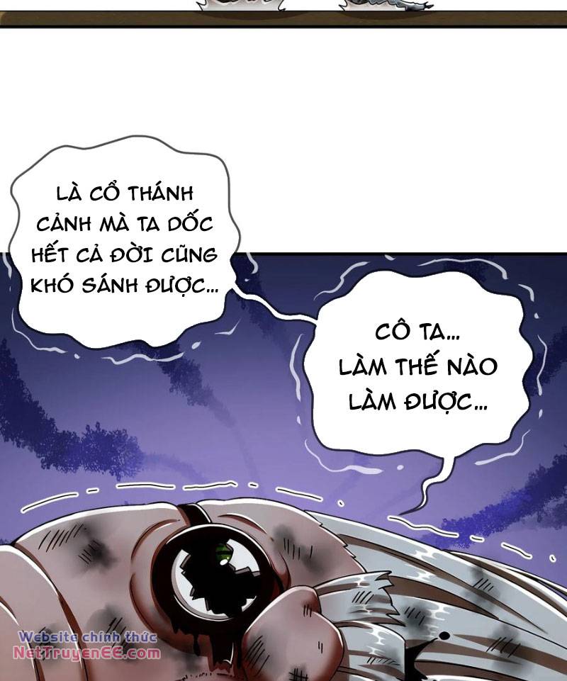 Tuyệt Sắc Đạo Lữ Đều Nói Ngô Hoàng Thể Chất Vô Địch Chapter 206 - Trang 2