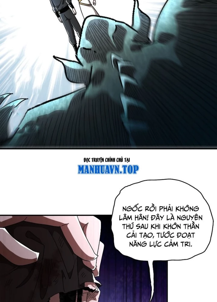 Tuyệt Sắc Đạo Lữ Đều Nói Ngô Hoàng Thể Chất Vô Địch Chapter 384 - Trang 2