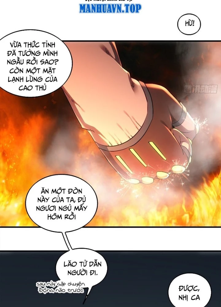 Tuyệt Sắc Đạo Lữ Đều Nói Ngô Hoàng Thể Chất Vô Địch Chapter 403 - Trang 2