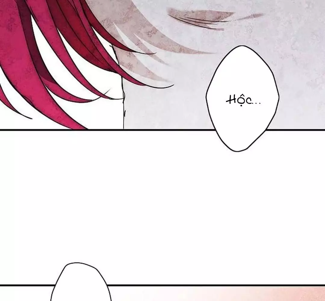 Bị Che Khuất Bởi Hoàng Hôn Chapter 198 - Trang 2