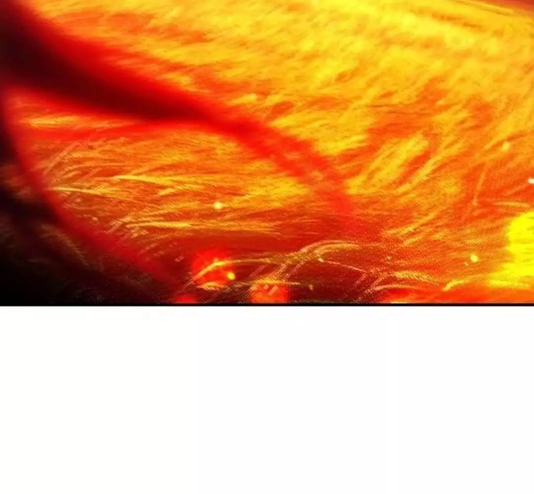 Bị Che Khuất Bởi Hoàng Hôn Chapter 204 - Trang 2