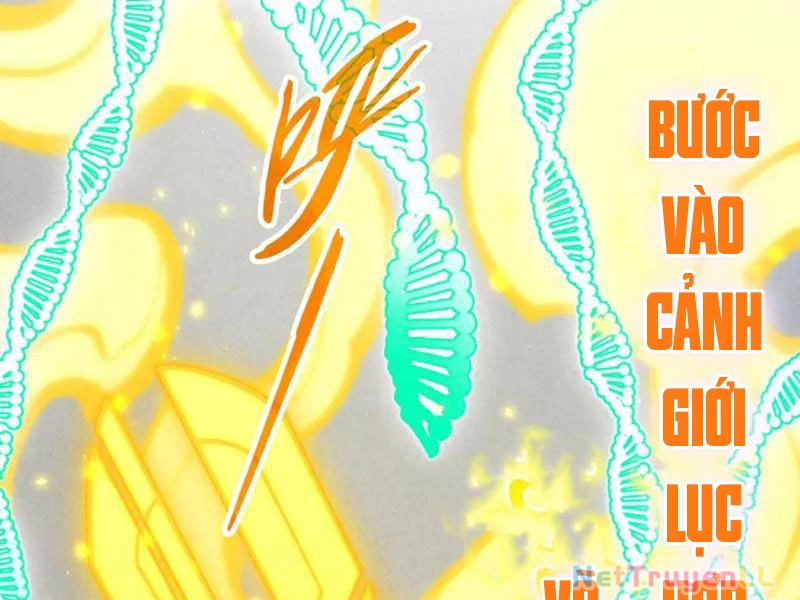 Vạn Cổ Chí Tôn Chapter 327 - Trang 2