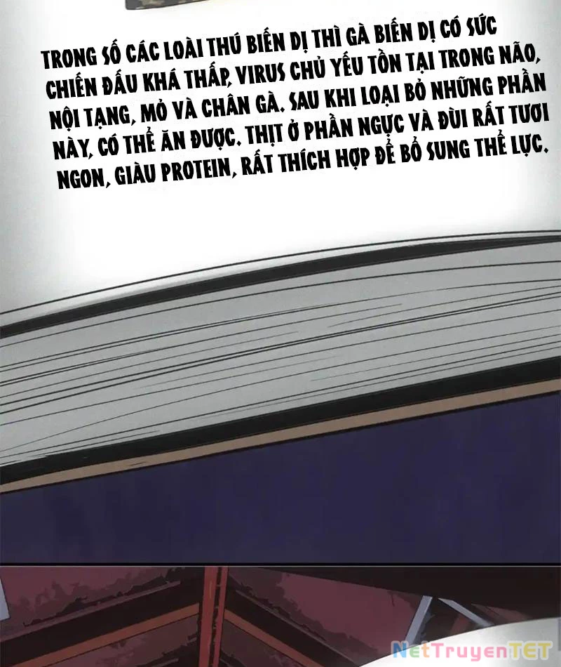 Ta Bán Hàng Vỉa Hè Ở Mạt Thế Chapter 20 - Trang 2