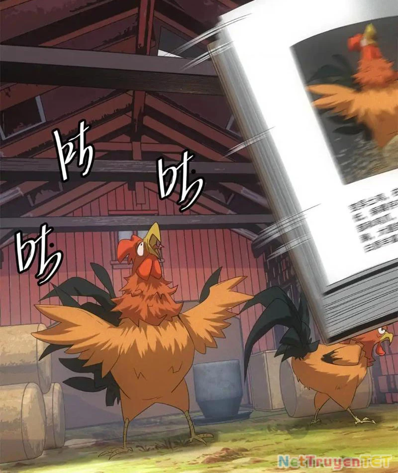 Ta Bán Hàng Vỉa Hè Ở Mạt Thế Chapter 20 - Trang 2