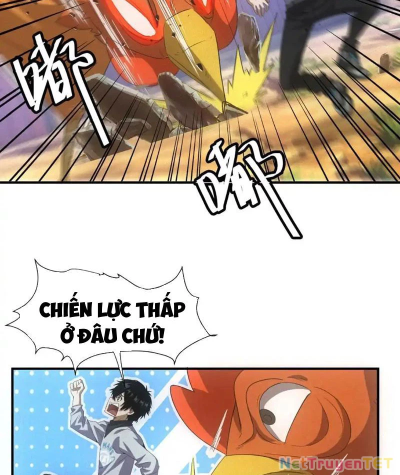 Ta Bán Hàng Vỉa Hè Ở Mạt Thế Chapter 20 - Trang 2