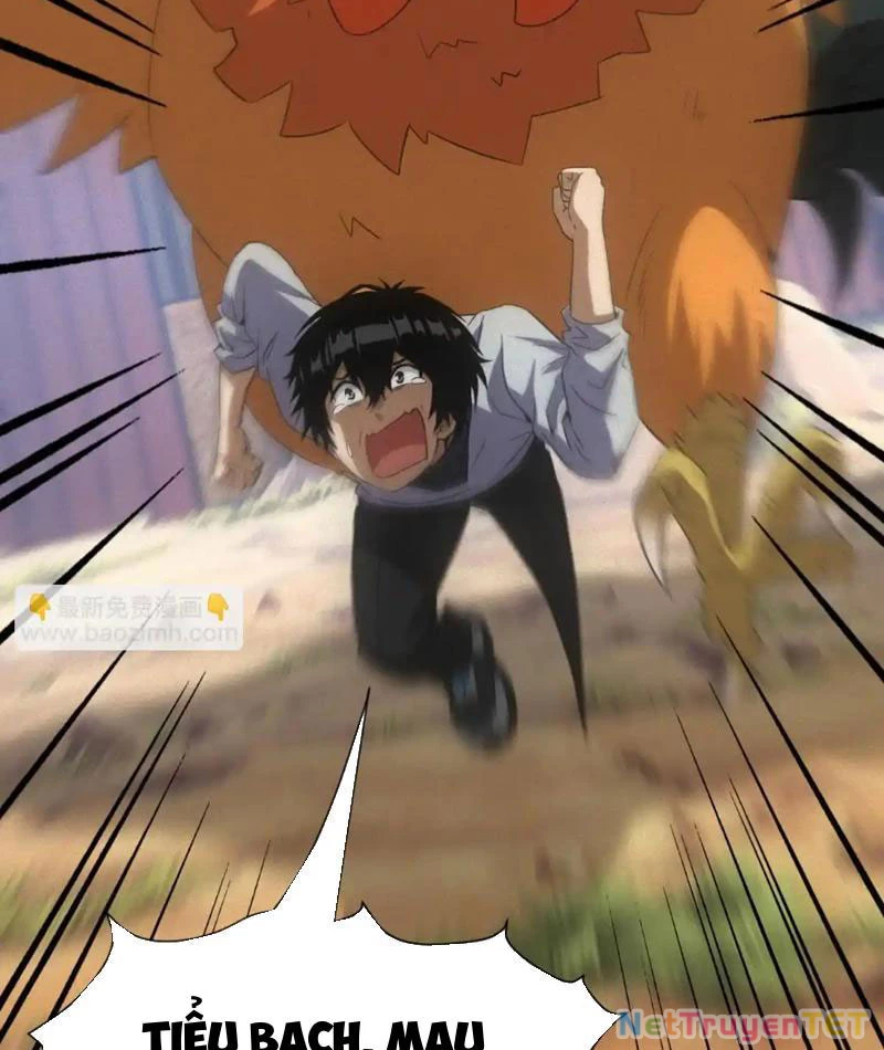 Ta Bán Hàng Vỉa Hè Ở Mạt Thế Chapter 20 - Trang 2