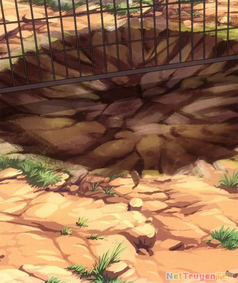 Ta Bán Hàng Vỉa Hè Ở Mạt Thế Chapter 20 - Trang 2