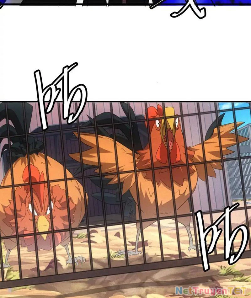 Ta Bán Hàng Vỉa Hè Ở Mạt Thế Chapter 20 - Trang 2