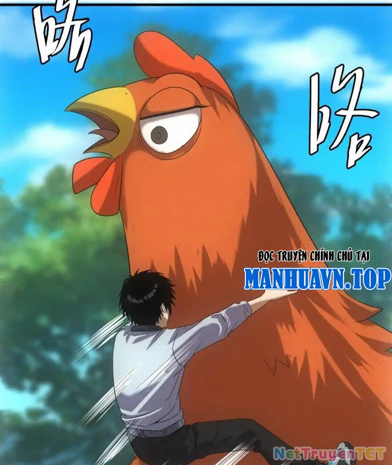 Ta Bán Hàng Vỉa Hè Ở Mạt Thế Chapter 23 - Trang 2