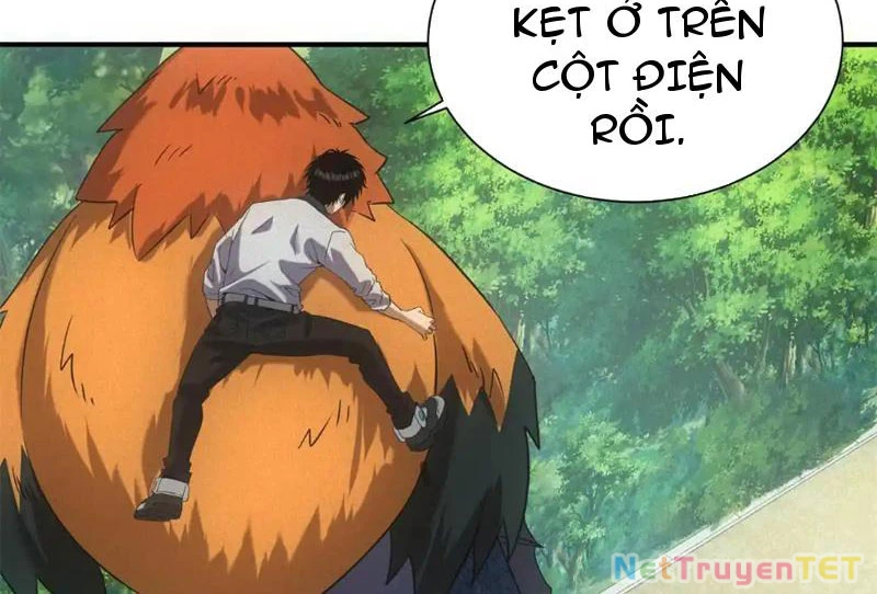 Ta Bán Hàng Vỉa Hè Ở Mạt Thế Chapter 23 - Trang 2