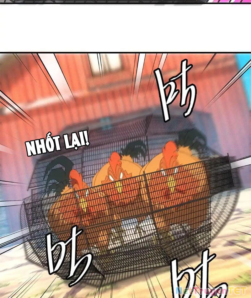 Ta Bán Hàng Vỉa Hè Ở Mạt Thế Chapter 23 - Trang 2