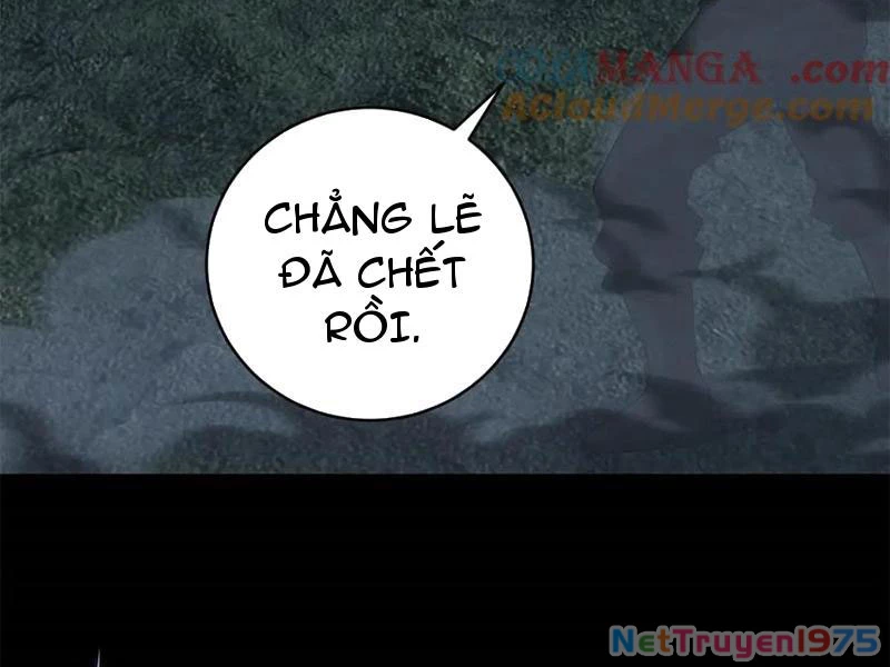 Ta Bán Hàng Vỉa Hè Ở Mạt Thế Chapter 47 - Trang 2