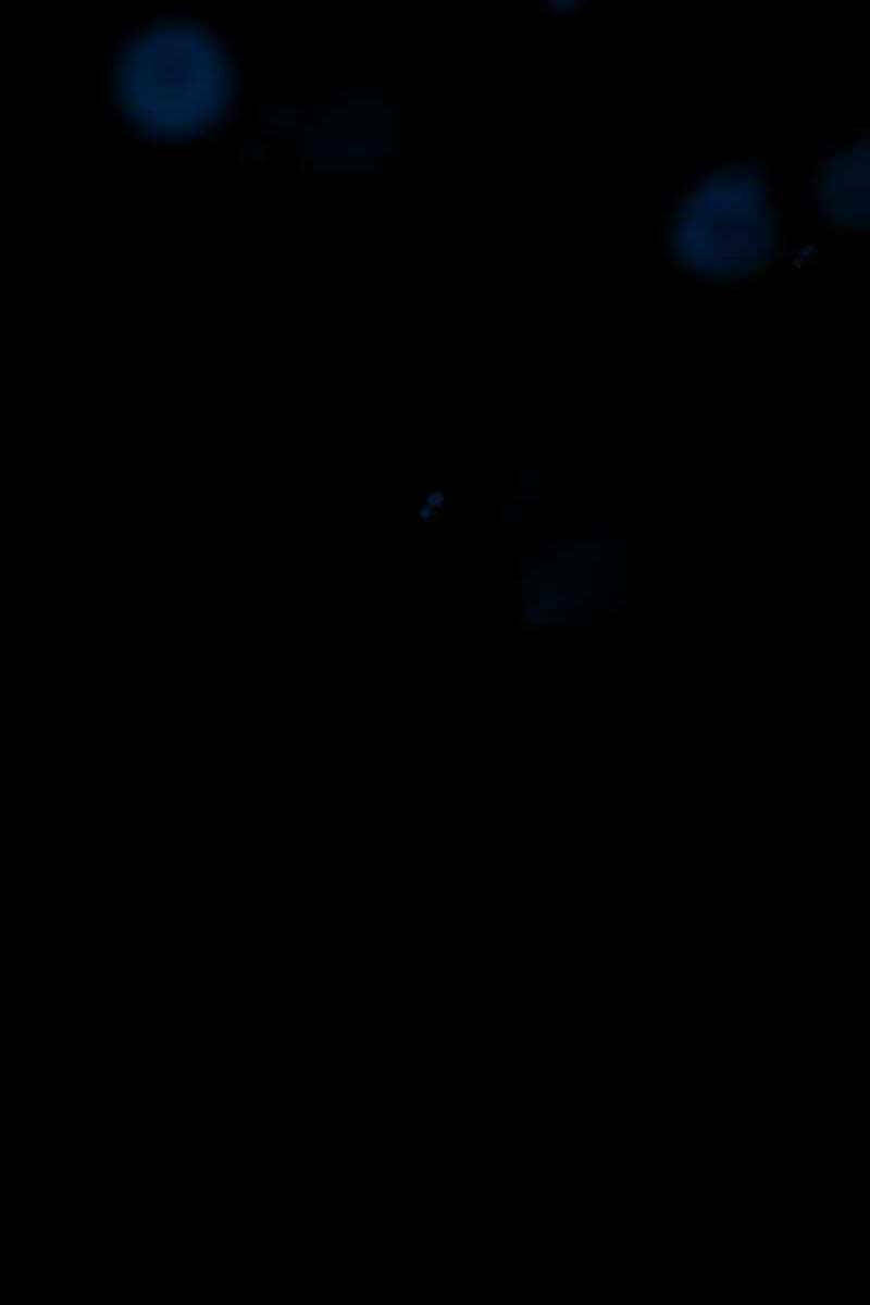 Con Trai Út Của Gia Đình Kiếm Thuật Danh Tiếng Chapter 63 - Trang 2