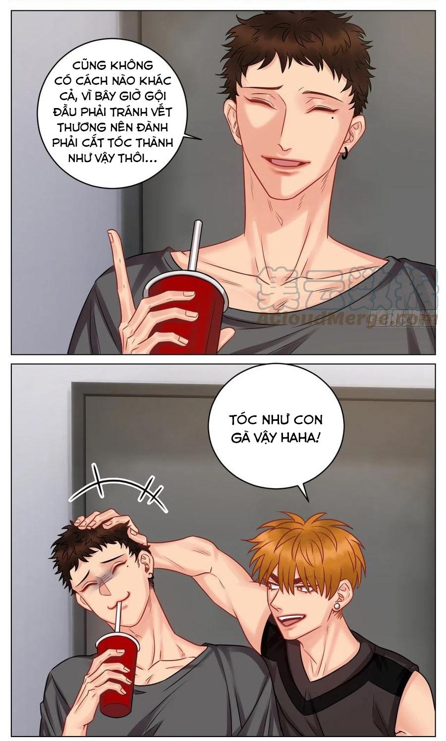 Ký Túc Xá Nam Phòng 303 Chapter 180 - Trang 2