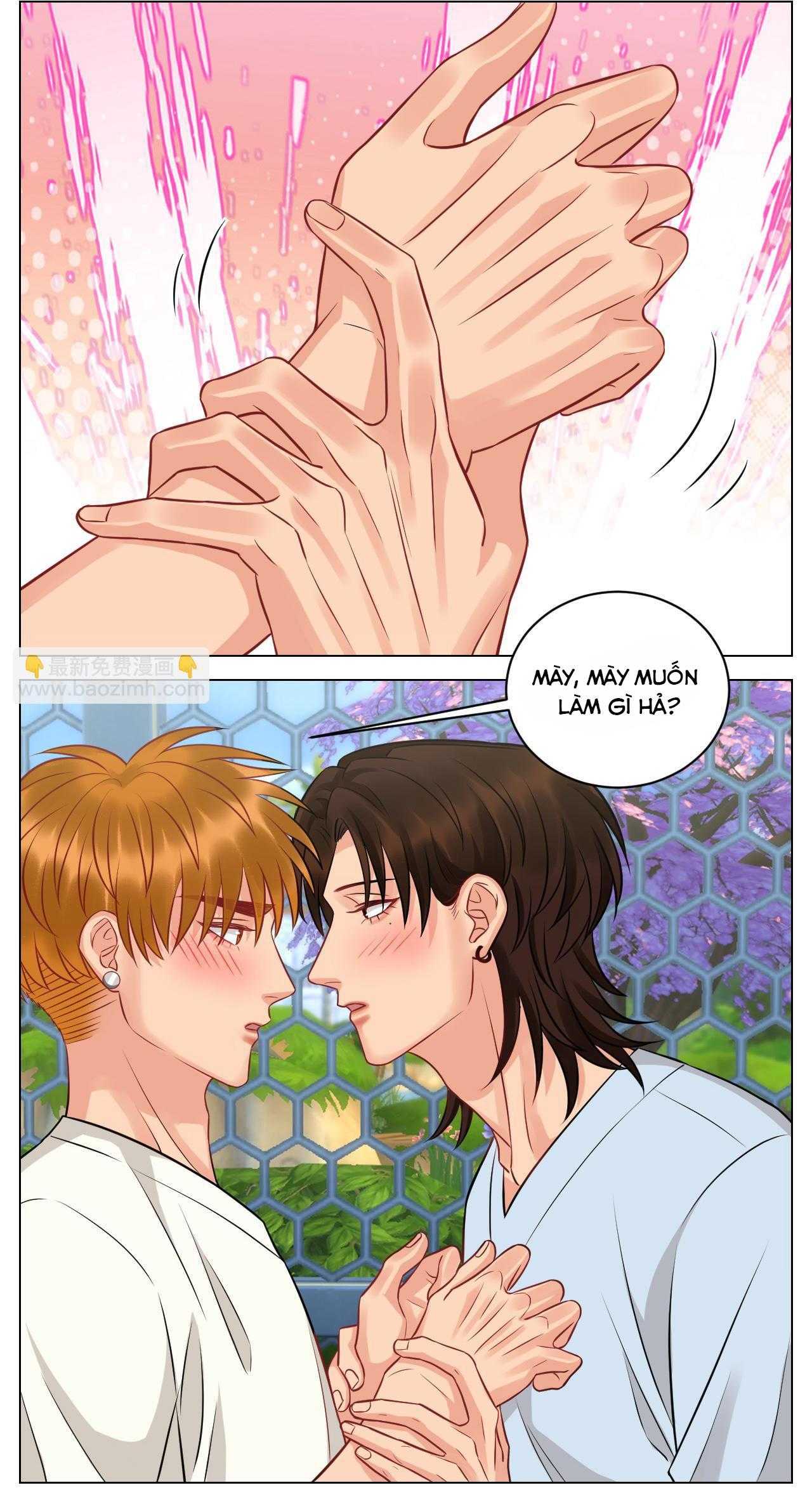 Ký Túc Xá Nam Phòng 303 Chapter 232 - Trang 2
